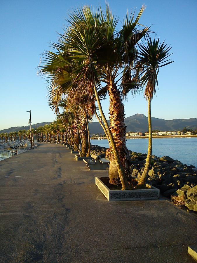 Hotel Valencia Hendaye Esterno foto